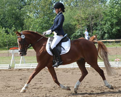 Herzerfrischende Ritte lieferte die 16-jährige Jolanda Becker, die mit Diskaro Landesmeisterin der Pony-Dressurreiter wurde. Herzerfrischende Ritte lieferte die 16-jährige Jolanda Becker, die mit Diskaro Landesmeisterin der Pony-Dressurreiter wurde.